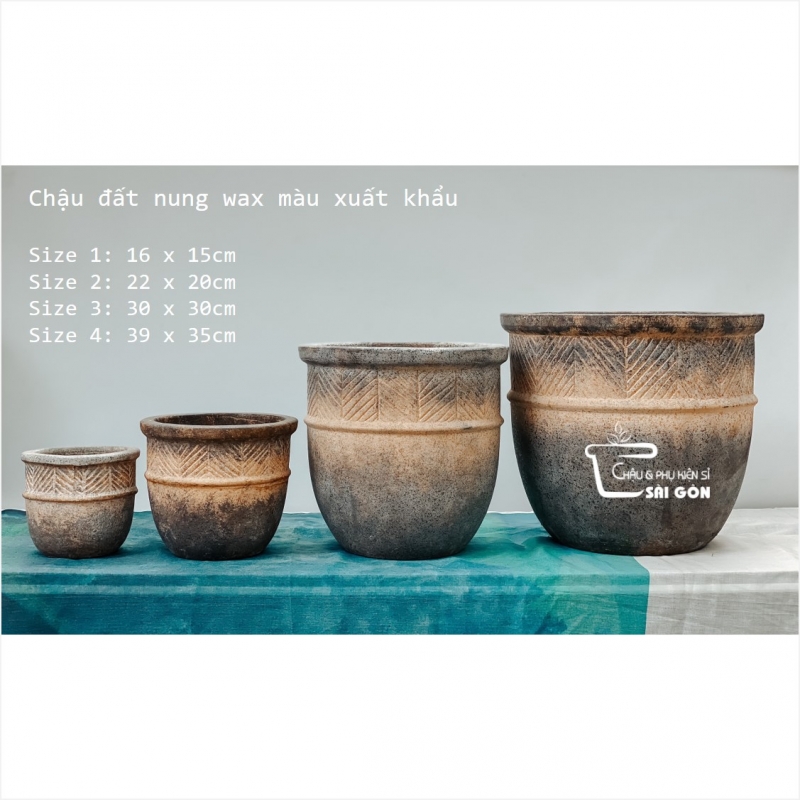 Chậu wax màu cao cấp